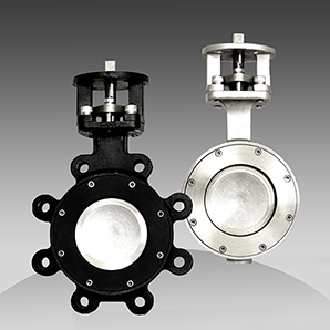 series 76/77 high performance butterfly valve